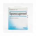 HEEL SPASCUPREEL 5 AMP.